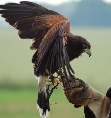 Азғындық пен секс туралы порнофотосуреттер