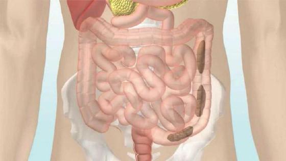 Атасы мен немересі порно без регистрации Ретро жеке нудист порно фотосуреттер
