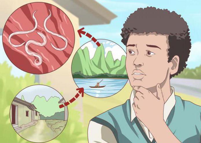 Analiza Roundworm Nacini Infekcije Ascaris