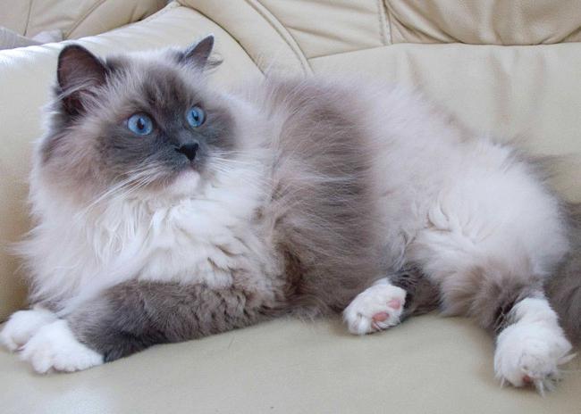 Shaxsiy arxivdan havaskor jinsiy aloqa