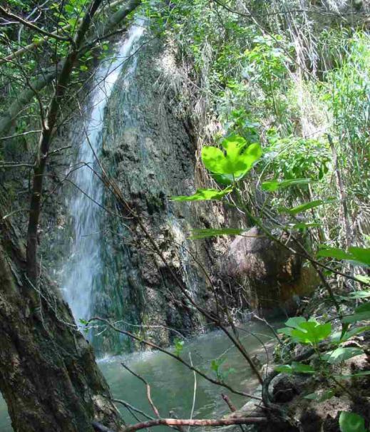 Джордж Клуни порно фильмінің фотосуреттері Анастасия Заворотнюктің жалаңаш және трахты бейнеленген порнофильмі - thesanctuary.ru сайтында