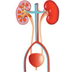 Желідегі секс видеоларындағы мұрты бар жетілген еркектер