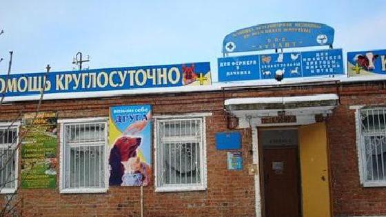 Писка колготки арқылы көрінеді