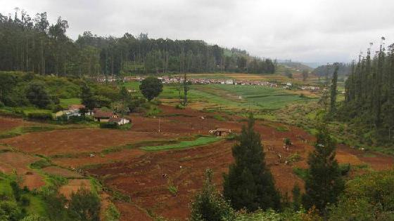 Onlayn porno: juda shahvoniy ona va ogil