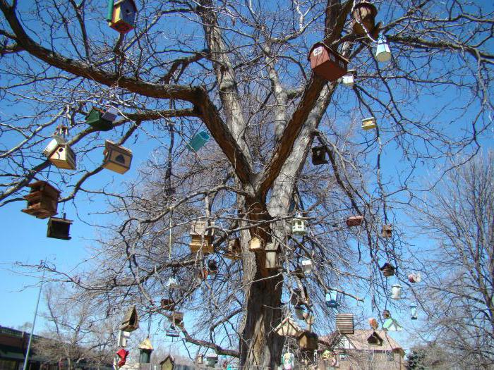 Фон Тиспен порно