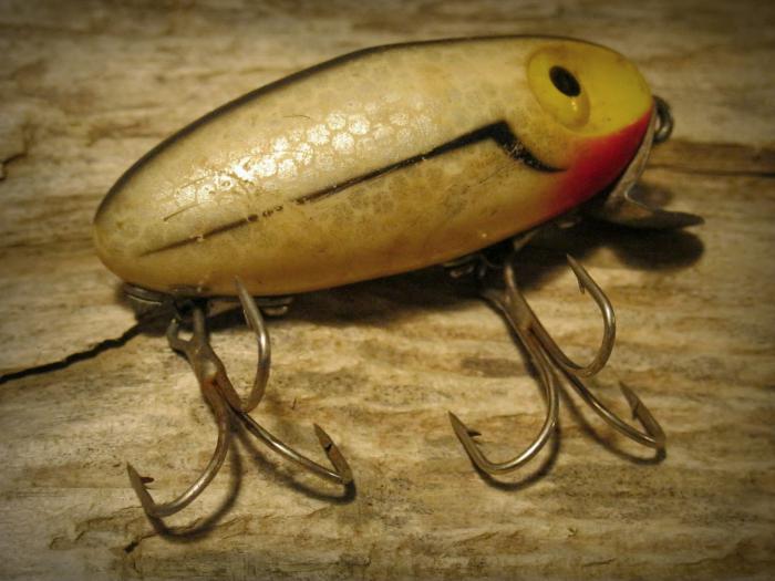 Bagaimana Untuk Snap On Ikan Keli Penangkapan Ikan Keli Zakidushku Donka Ikan Keli