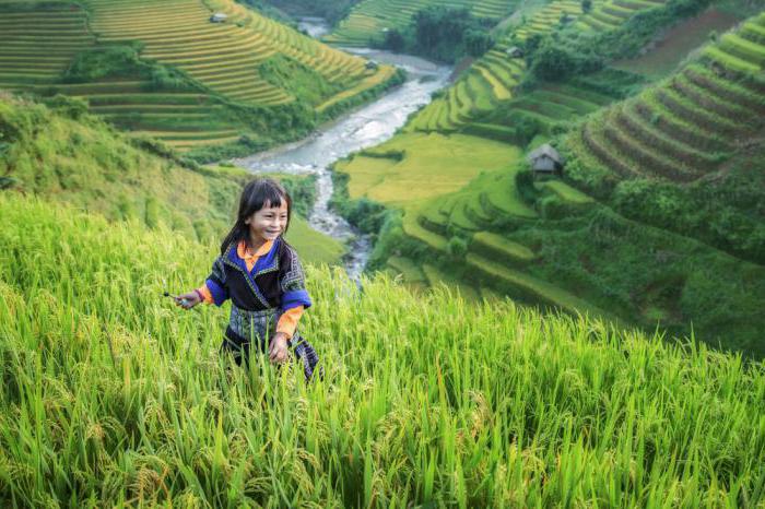 Negara-negara Asia Tenggara dan senarai ciri-ciri pembangunan ekonomi