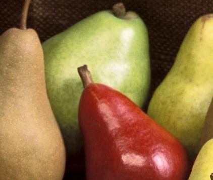 Порно юмор fm