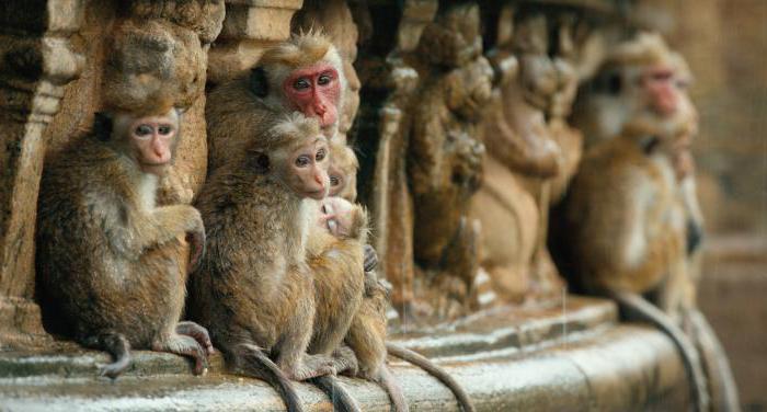 Жас татар порно