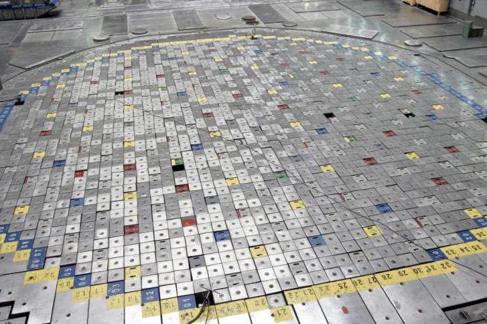 Toliq mushuklar haqida video Retro sik porno