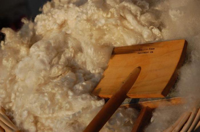 Шашты және жүнді киска Шашты және жүнді киска