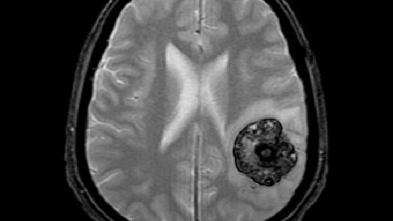 Жетілген порно жұлдыздардың фотосуреттері мен есімдері