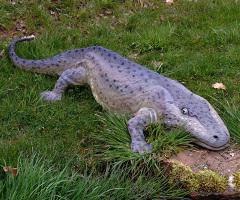 Хардкор асексуалды порно видео Колготки мен шұлықтарға конча