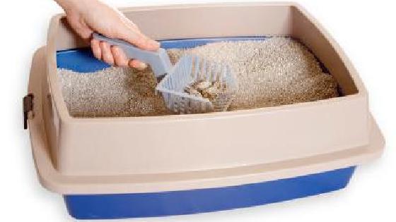 Қынаптық шарлар туралы бейне