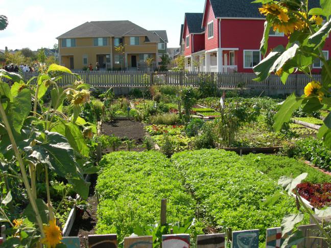 Persatuan Tukang Kebun Bertindak Ke Atas Syarikat Syarikat Berkebun