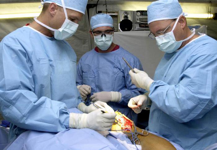 Yirtqich qizlar porno video