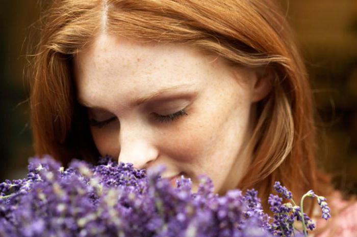 Наруто ебля сакура порно видео