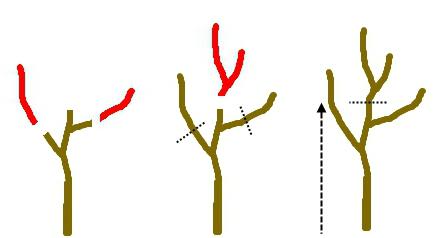 Pornhub Тайра Мурмен порно