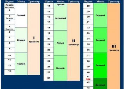 Ер адам колготки киіп, аяғын жұлқылайды. Фото.