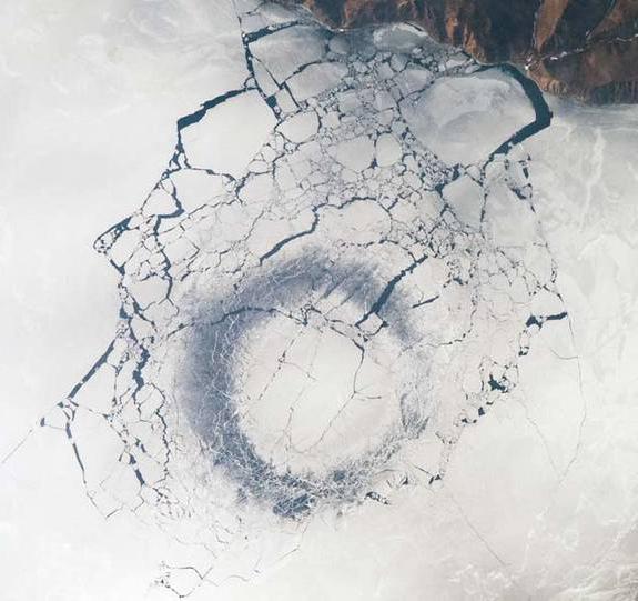 Планшеттерге арналған эротикалық тірі тұсқағаздар