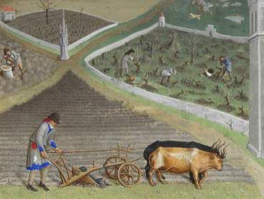 Америкалық әскерилер араб әйелдерімен жыныстық қатынасқа түседі