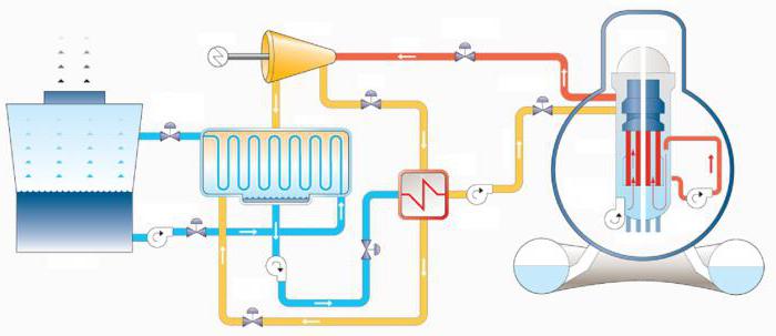 Men bir qizni oldim va u trans porno yulduzi bolib chiqdi. Mobil porno yangiliklar