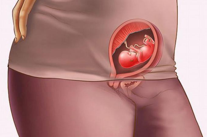 Пизда мен қынаптың медициналық тексеруі порнофотосуреттері