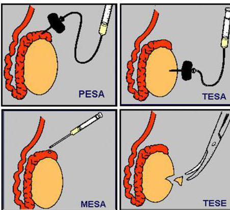 Kiyinish xonasida onanizm qiladi Kiyinish xonasida onanizm qiladi