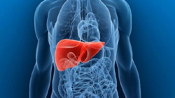 Секс ххх қатыгез