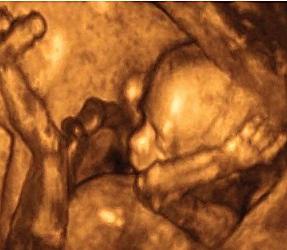 Джеки Чан порно көру Секс үшін Полтава