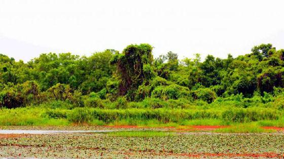 Жас гей порно