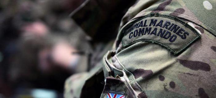 Tentera British Jenis Utama Tentera Struktur Dan Fungsi