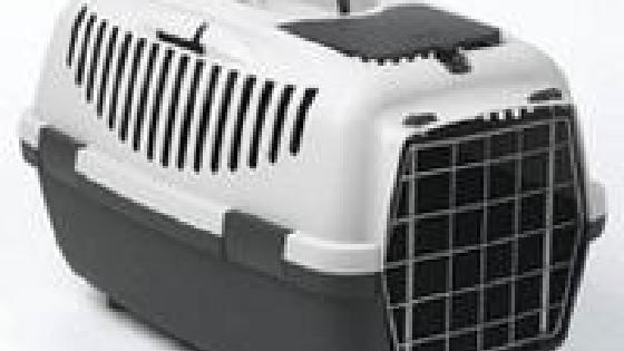 Ханшайым мен ханзада секс