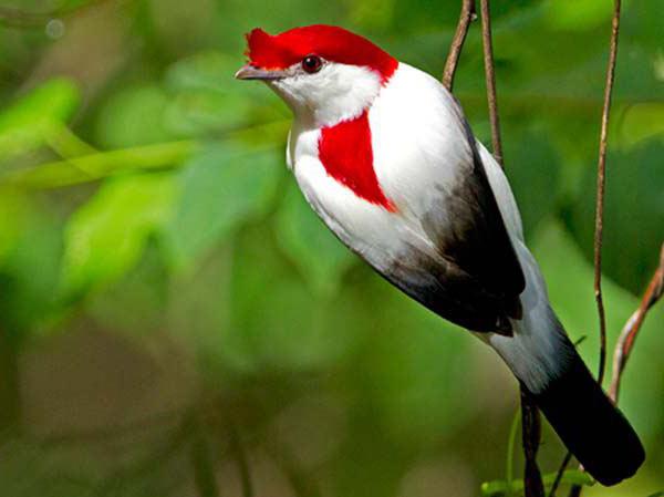 Порно қыздар спермы