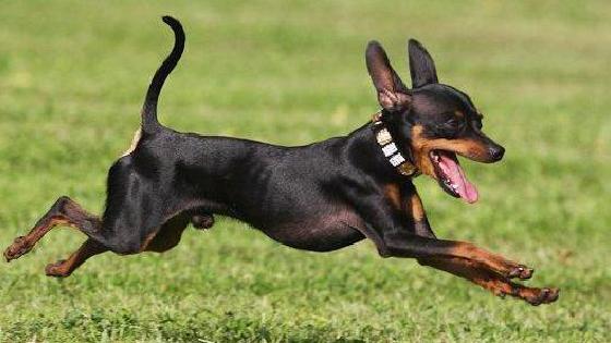 Жетілген әйелдермен ауыр анальді секс