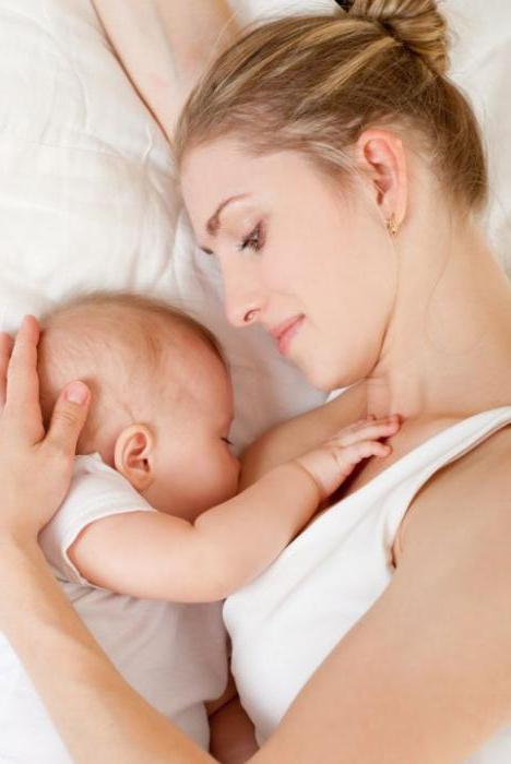 Teenage Mutant Ninja Turtles порно фотосуреттері