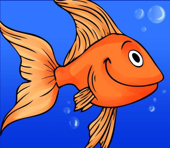 Әзірбайжандағы ең әдемі қыздар және секс