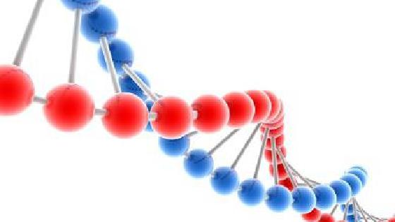 Көйлектің астындағы қыздың кискасы