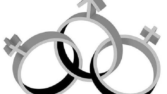 Gollivud mushuklarining fotosuratlari