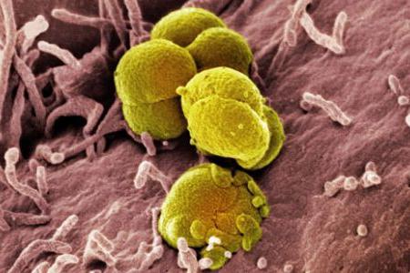 Минеттік порно Байланған қыздар мен эротика