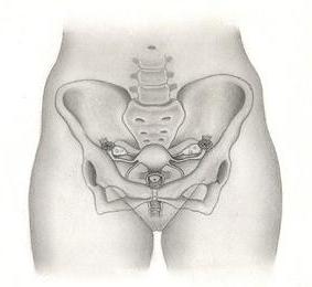 Жалаңаш матростардың суреттері