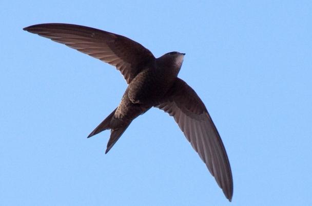 Әйелі басқа біреудің жыныс мүшесіне отырды Әйелдер оргазмының ең әдемі порносын көріңіз