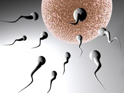 Санат бойынша секс порно видео