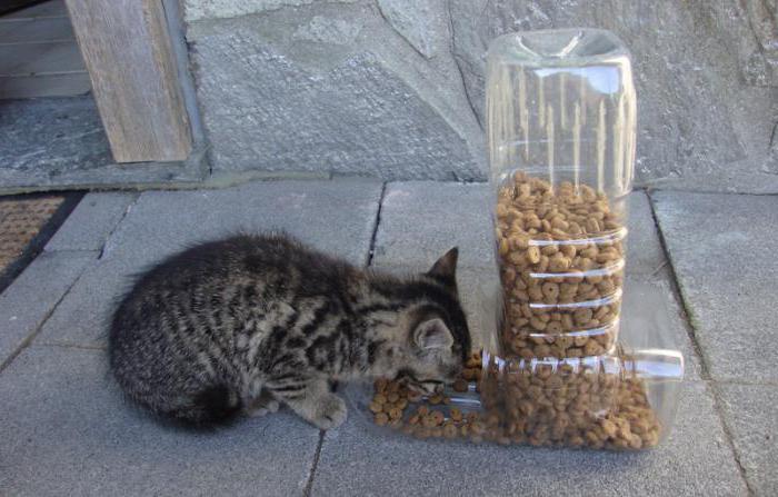 Dispenser makan tangan mereka sendiri. makanan Dispenser 