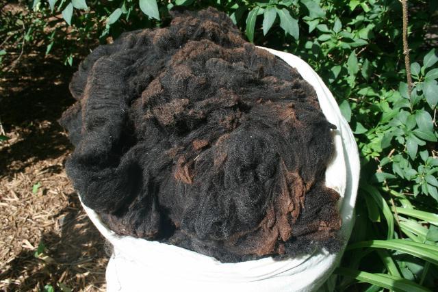 Курск облысы, Железногорск қаласындағы жалаңаш қыздар Құлдың қожайынға табан тіреуіш қолданып жатқаны туралы бейне