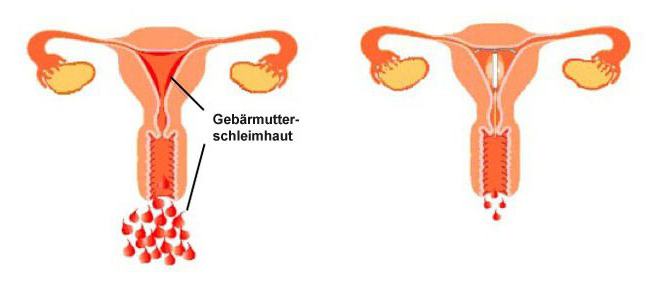 Әдемі секс өнері Нағыз жасырын камера порно видеолар