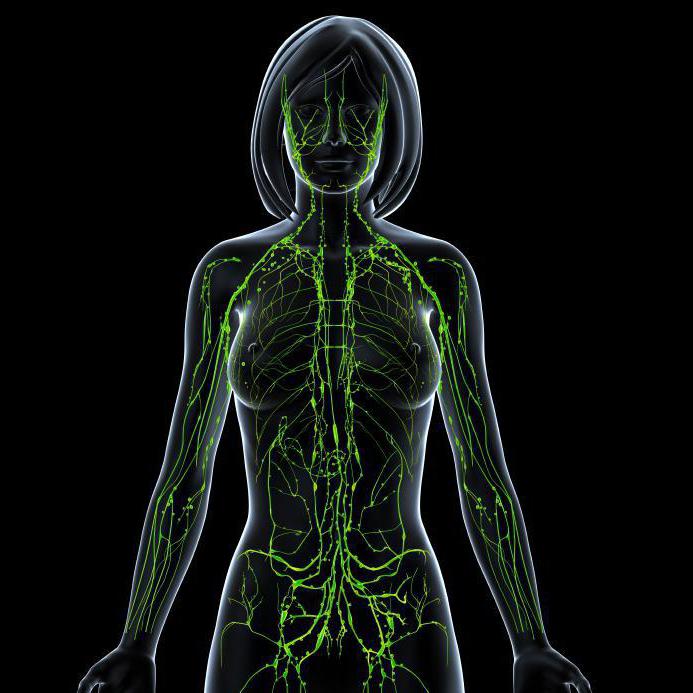 Порно хатшыны былғады Фото мен видео кездейсоқ желіге тарап кетті.