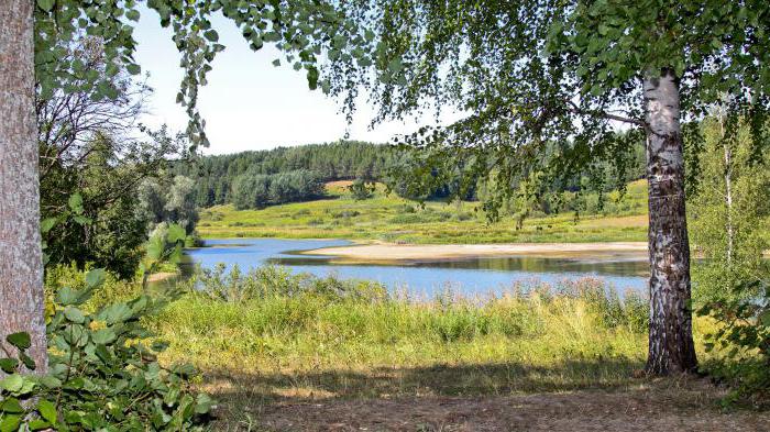 Әйел үстемдігінің порно фотосуреттері Эскорт қызметі Уман секс