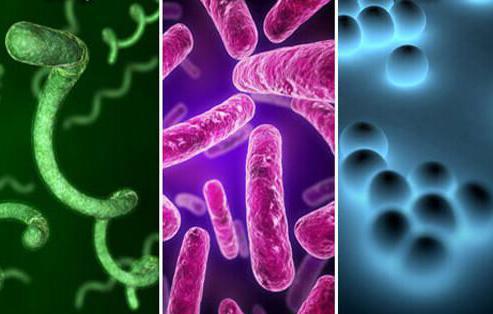 Жыныстық порно кезінде қынаптан көбік пайда болады Жыныстық порно кезінде қынаптан көбік пайда болады