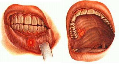 Сүйкімді порно